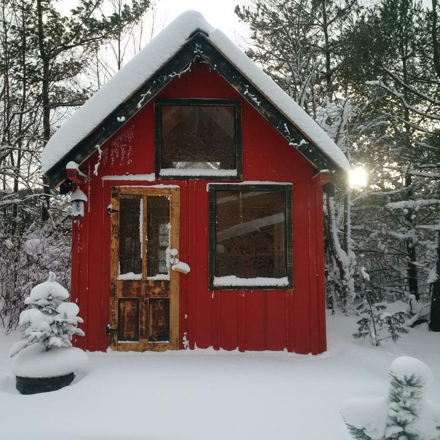 The Retreat House Blue Mountain Blue Mountains Exterior foto