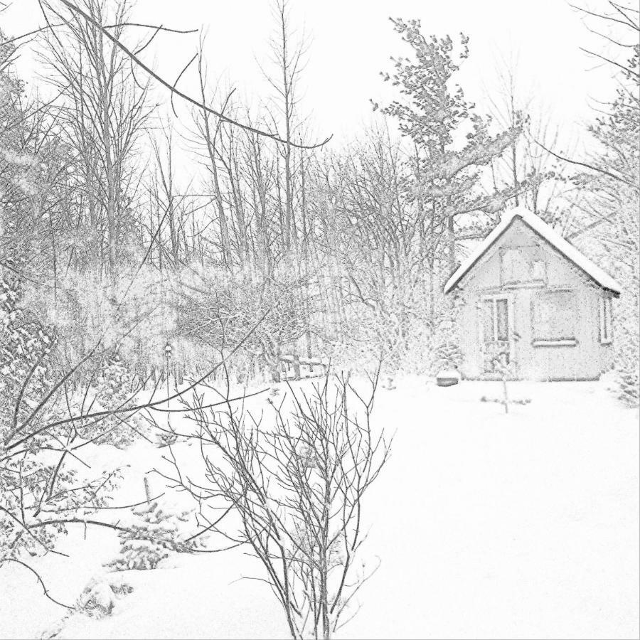 The Retreat House Blue Mountain Blue Mountains Exterior foto